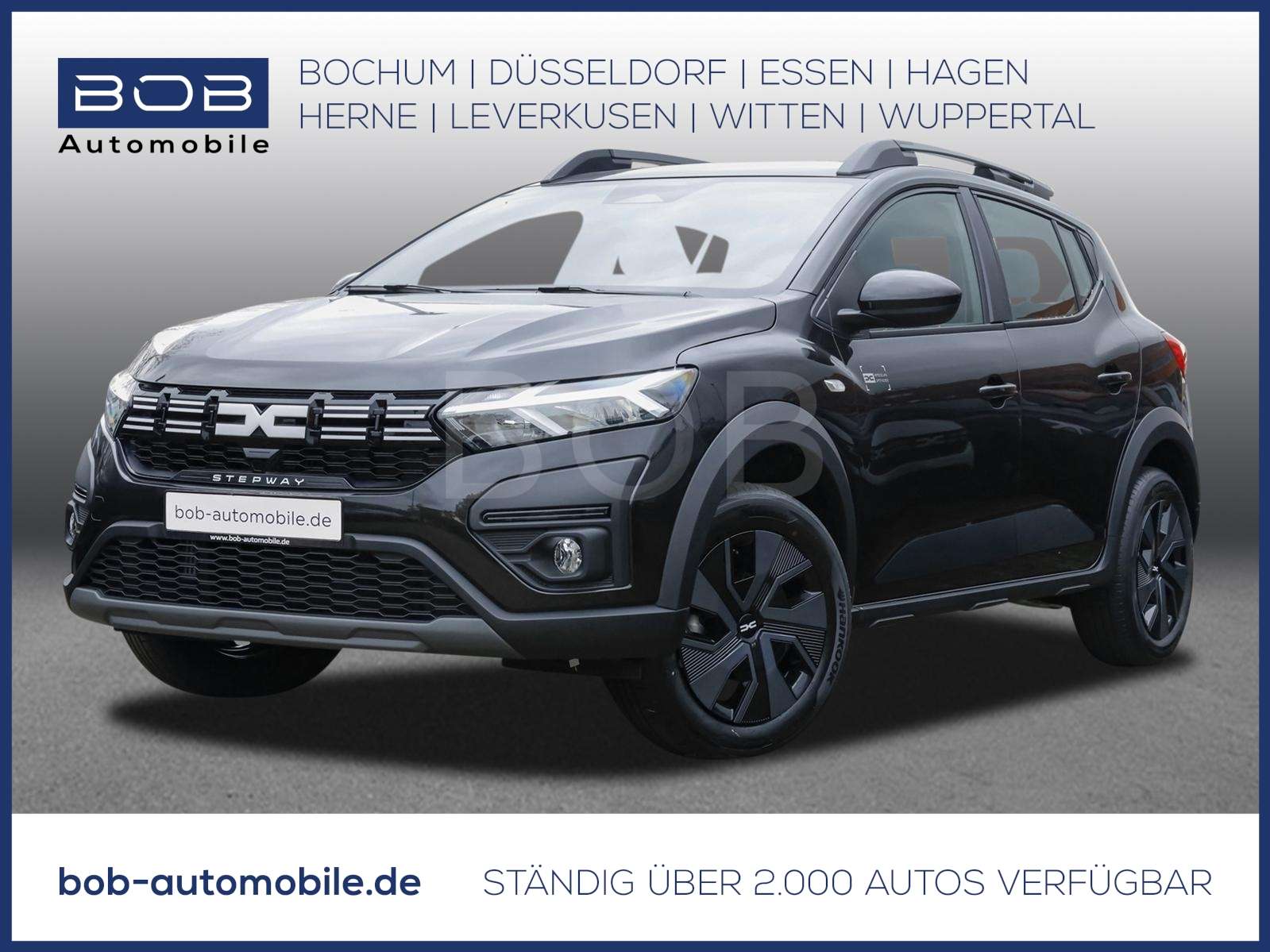 Fahrzeugbild eines Dacia Sandero