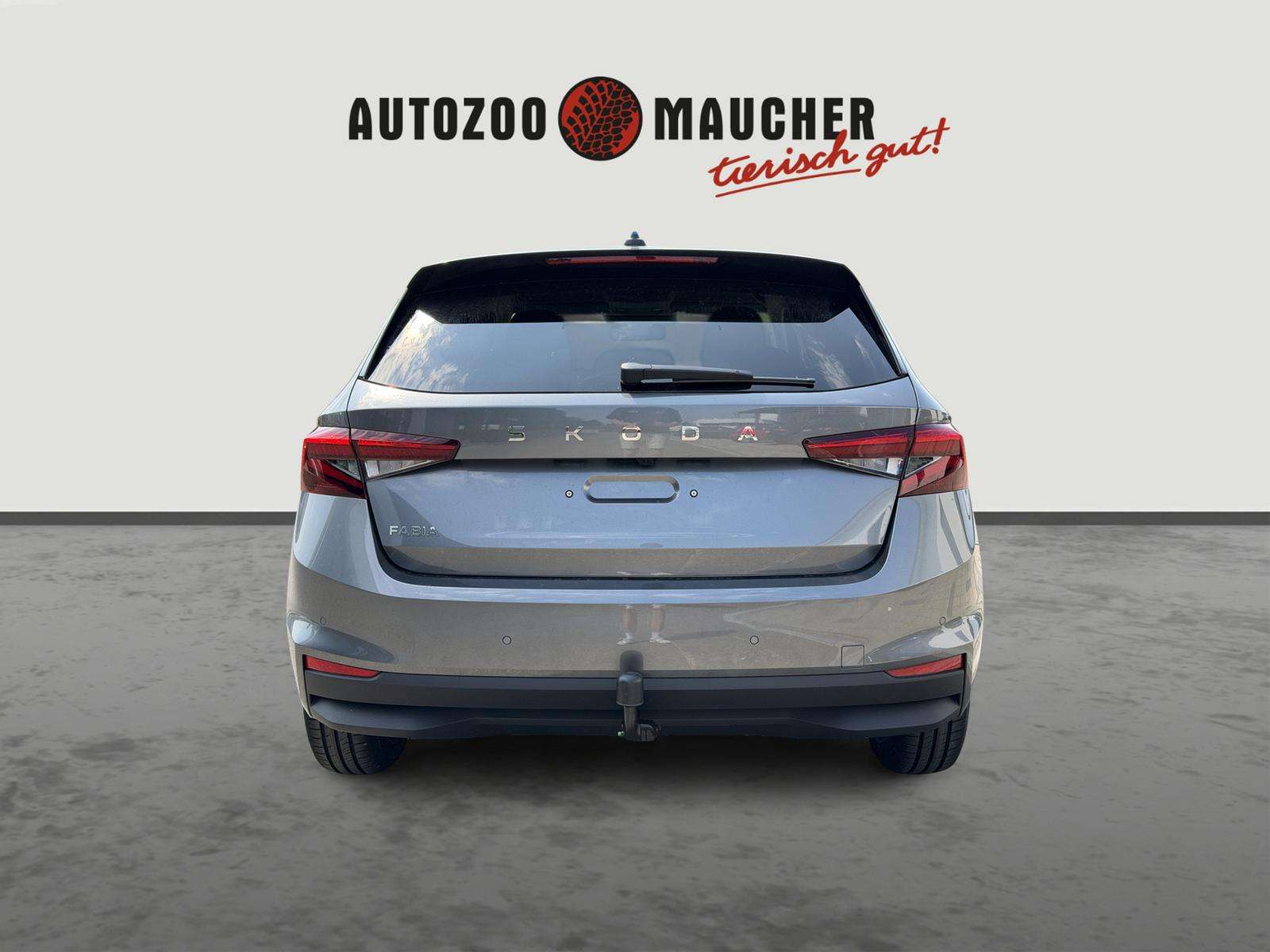 Fahrzeugbild eines Skoda Fabia