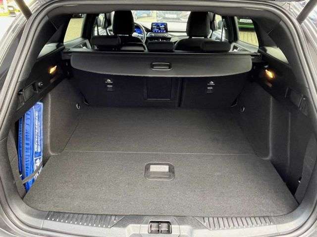 Fahrzeugbild eines Ford Focus