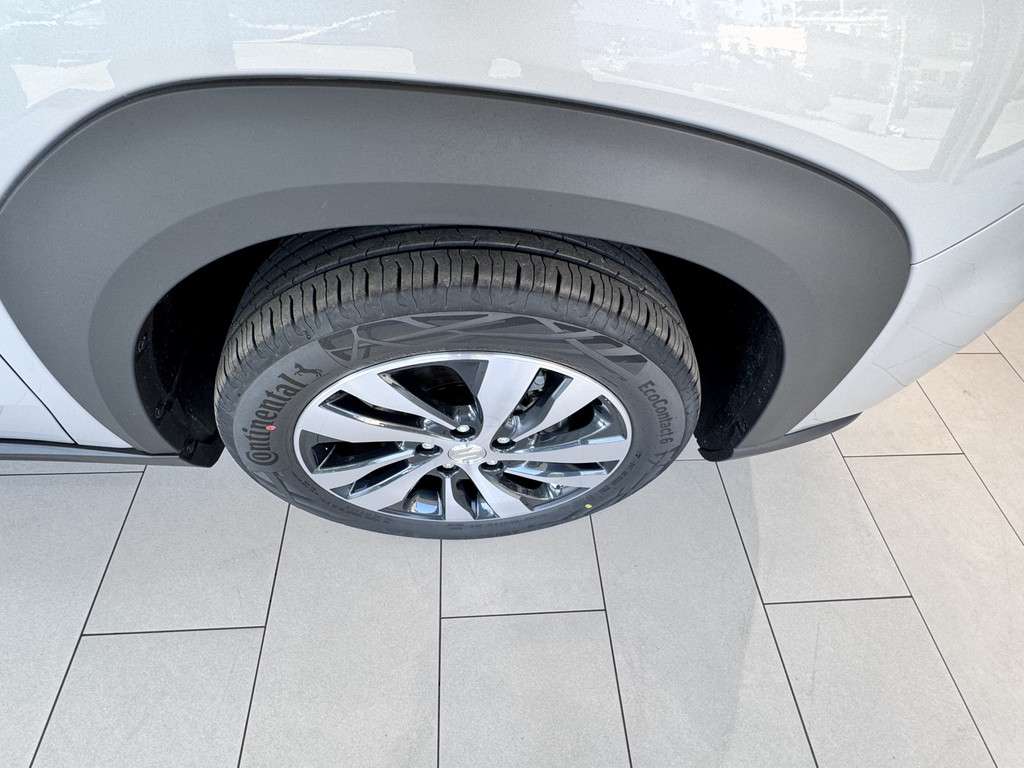 Fahrzeugbild eines Suzuki S-Cross