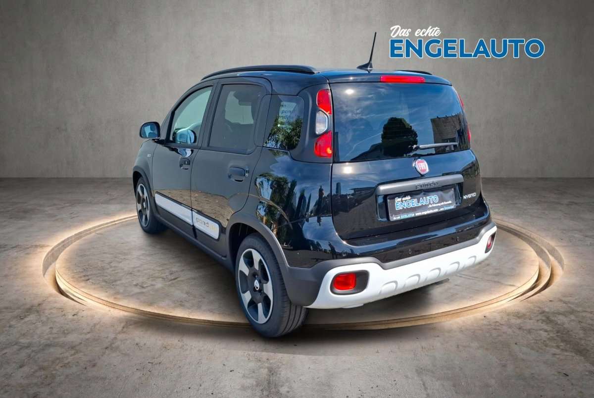 Fahrzeugbild eines Fiat Panda