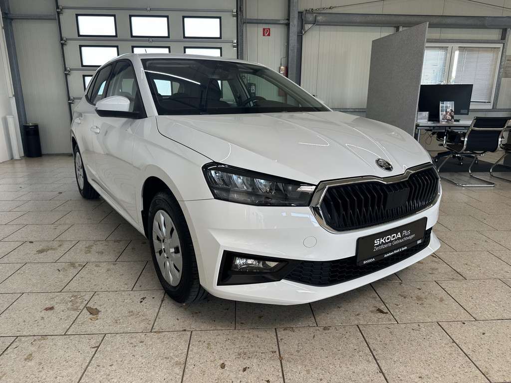 Fahrzeugbild eines Skoda Fabia