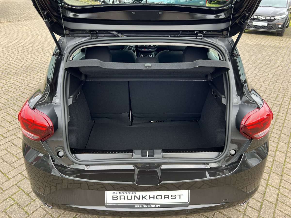 Fahrzeugbild eines Dacia Sandero