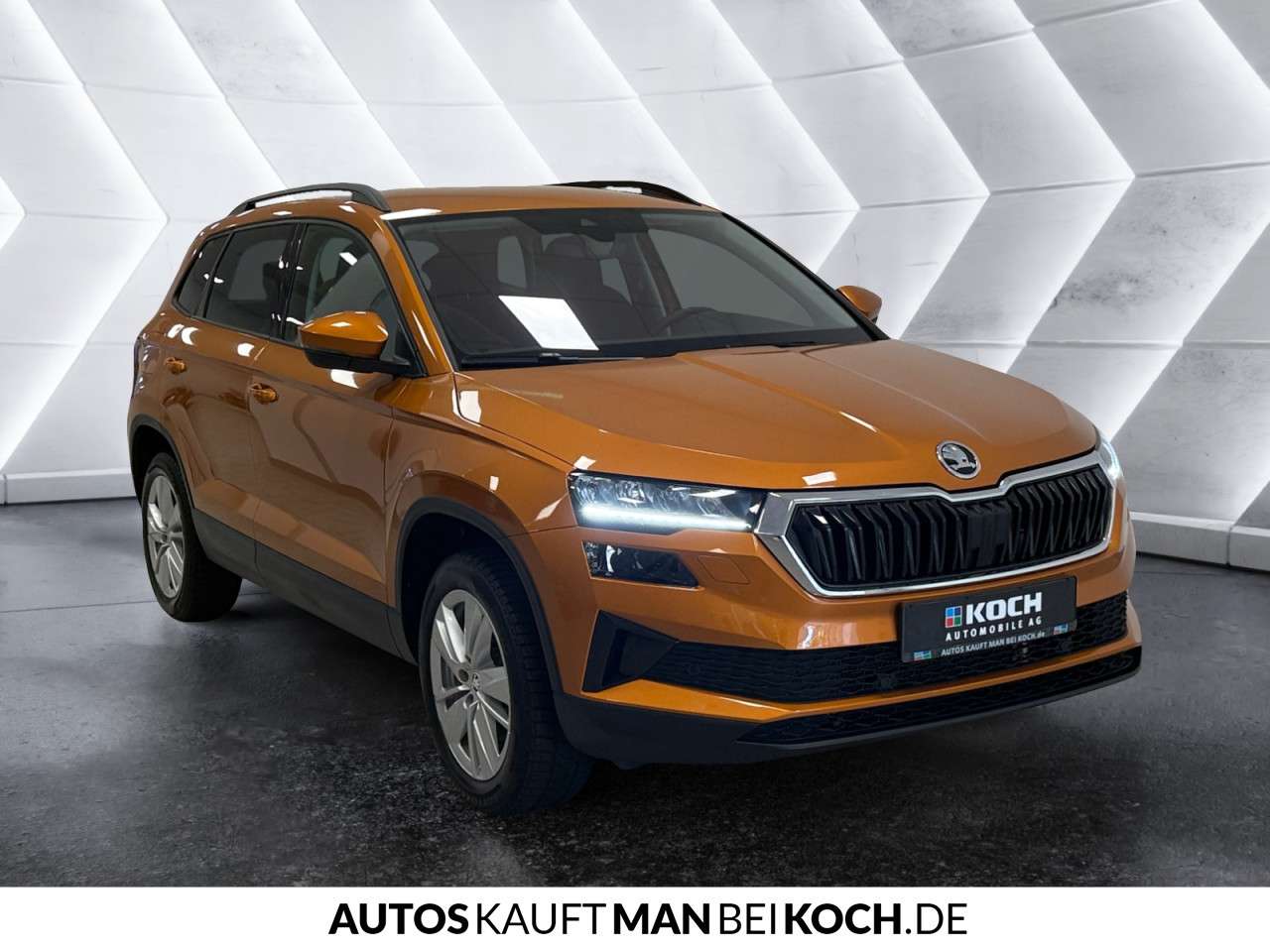 Fahrzeugbild eines Skoda Karoq