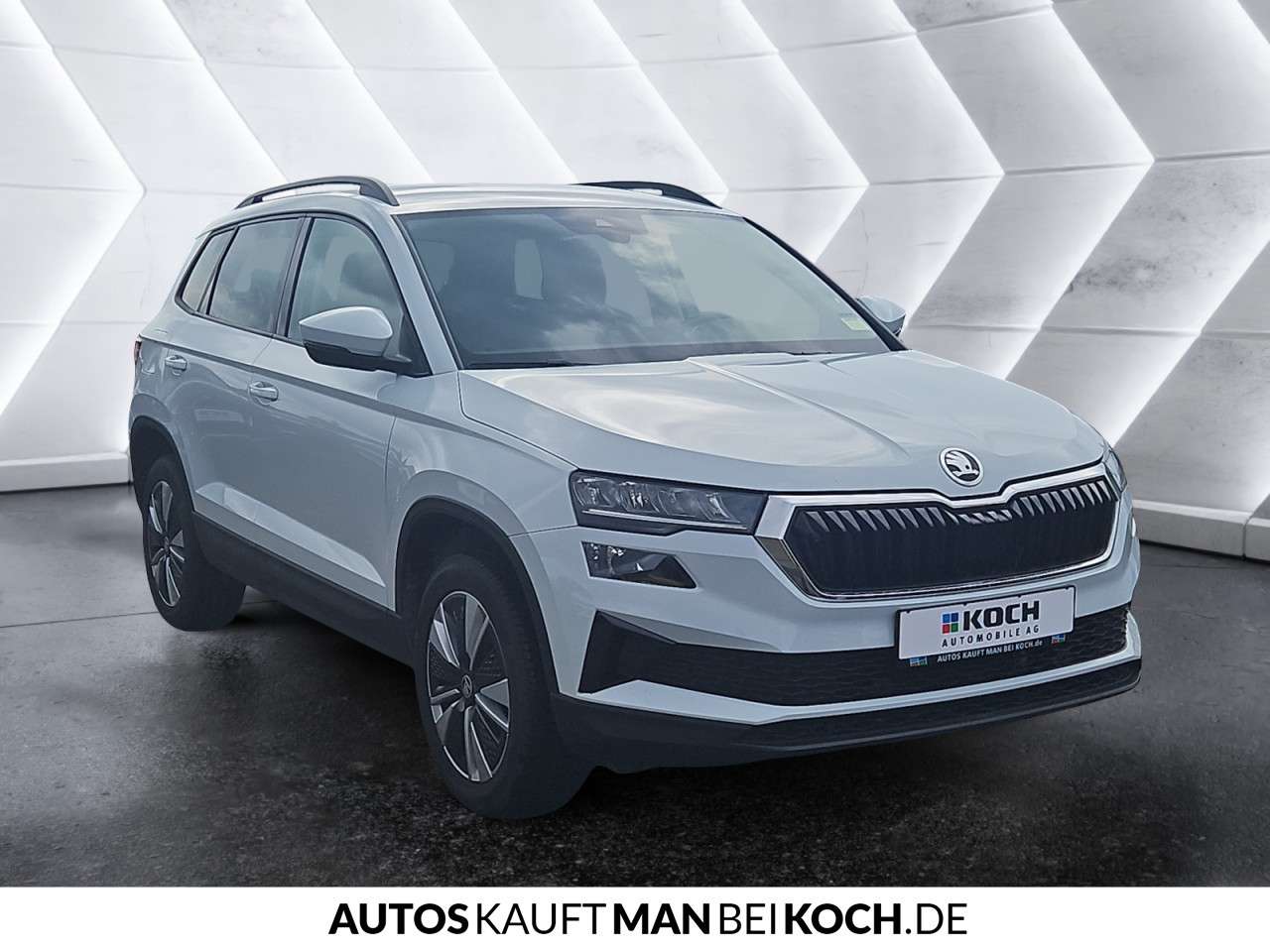 Fahrzeugbild eines Skoda Karoq