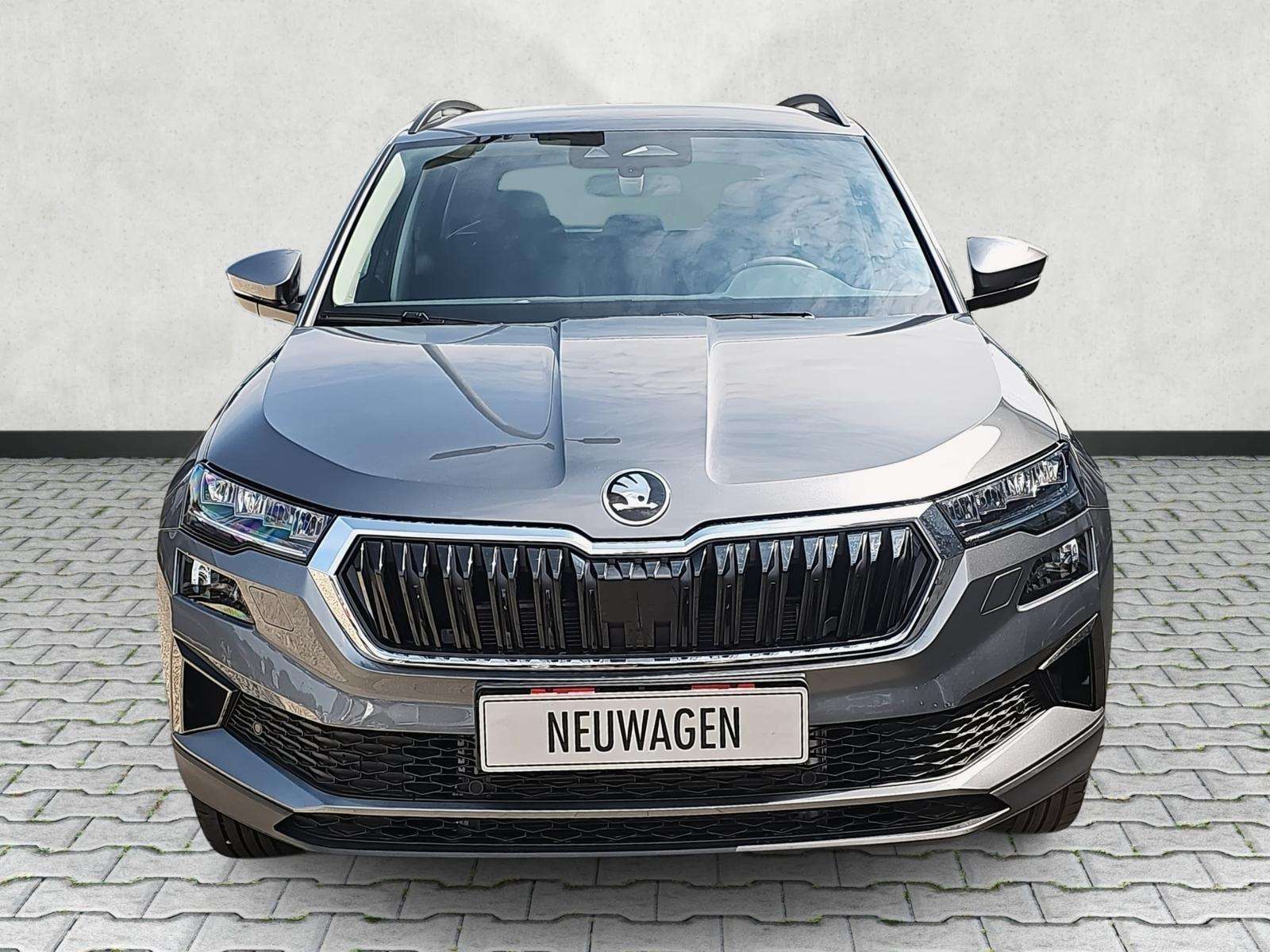 Fahrzeugbild eines Skoda Karoq
