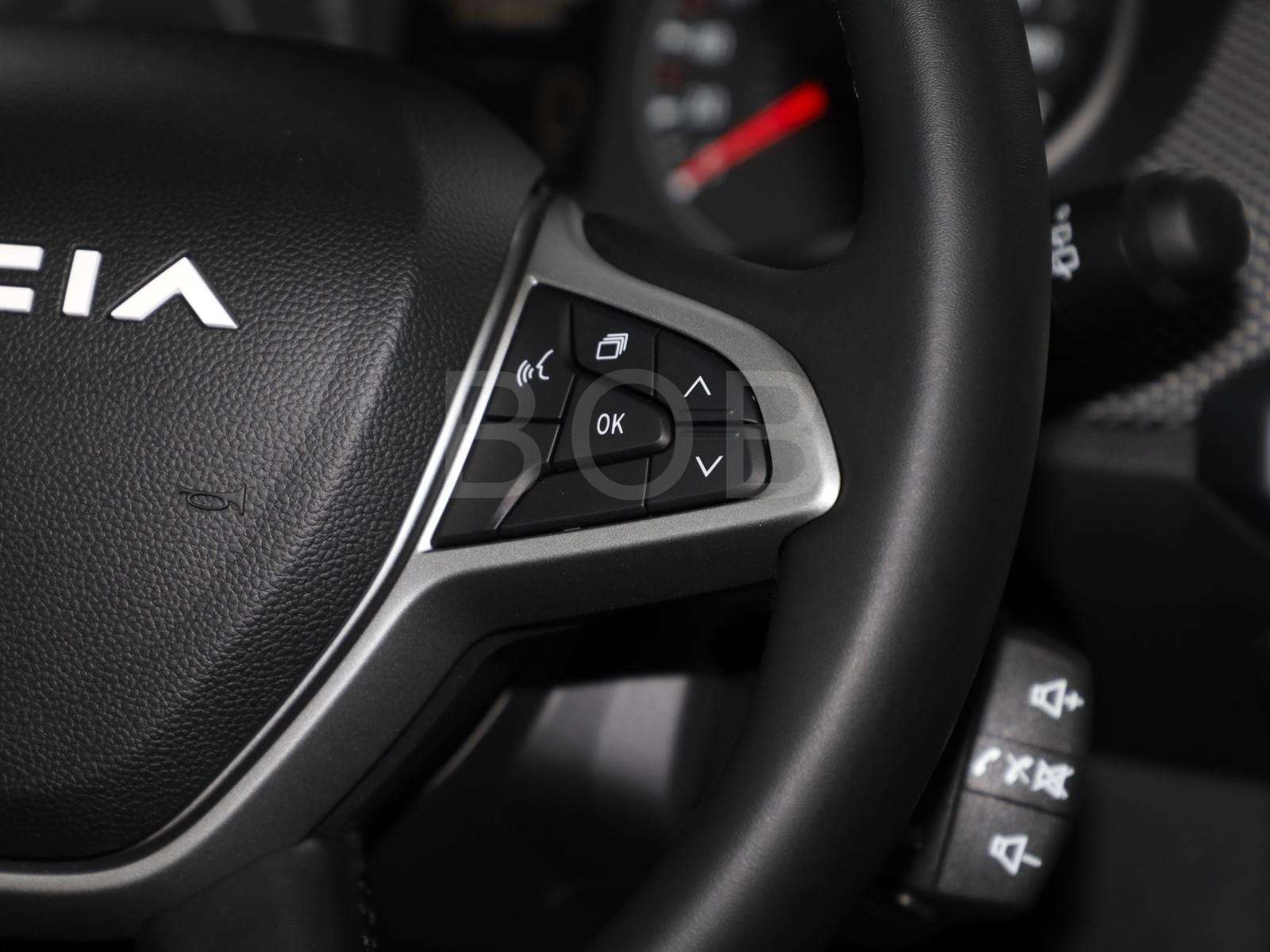 Fahrzeugbild eines Dacia Sandero