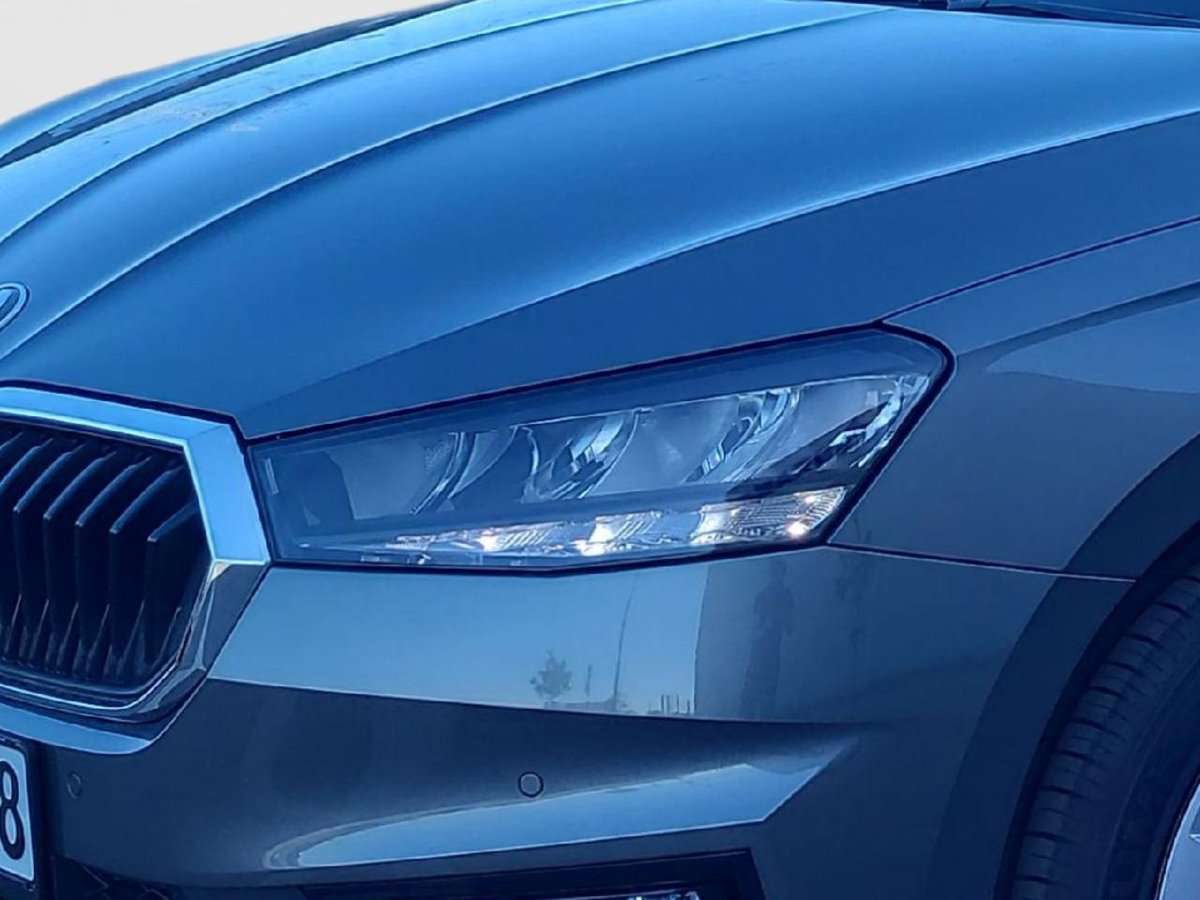 Fahrzeugbild eines Skoda Fabia