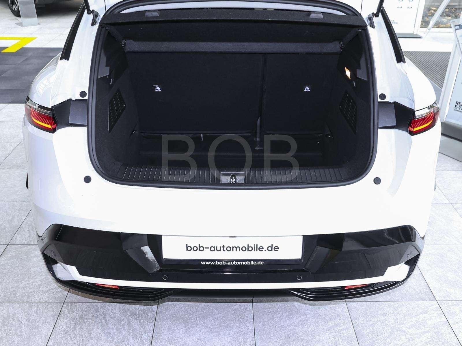 Fahrzeugbild eines Renault Megane E-TECH