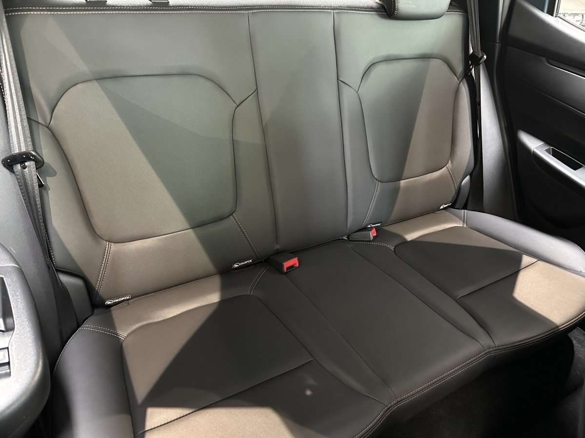 Fahrzeugbild eines Dacia Spring