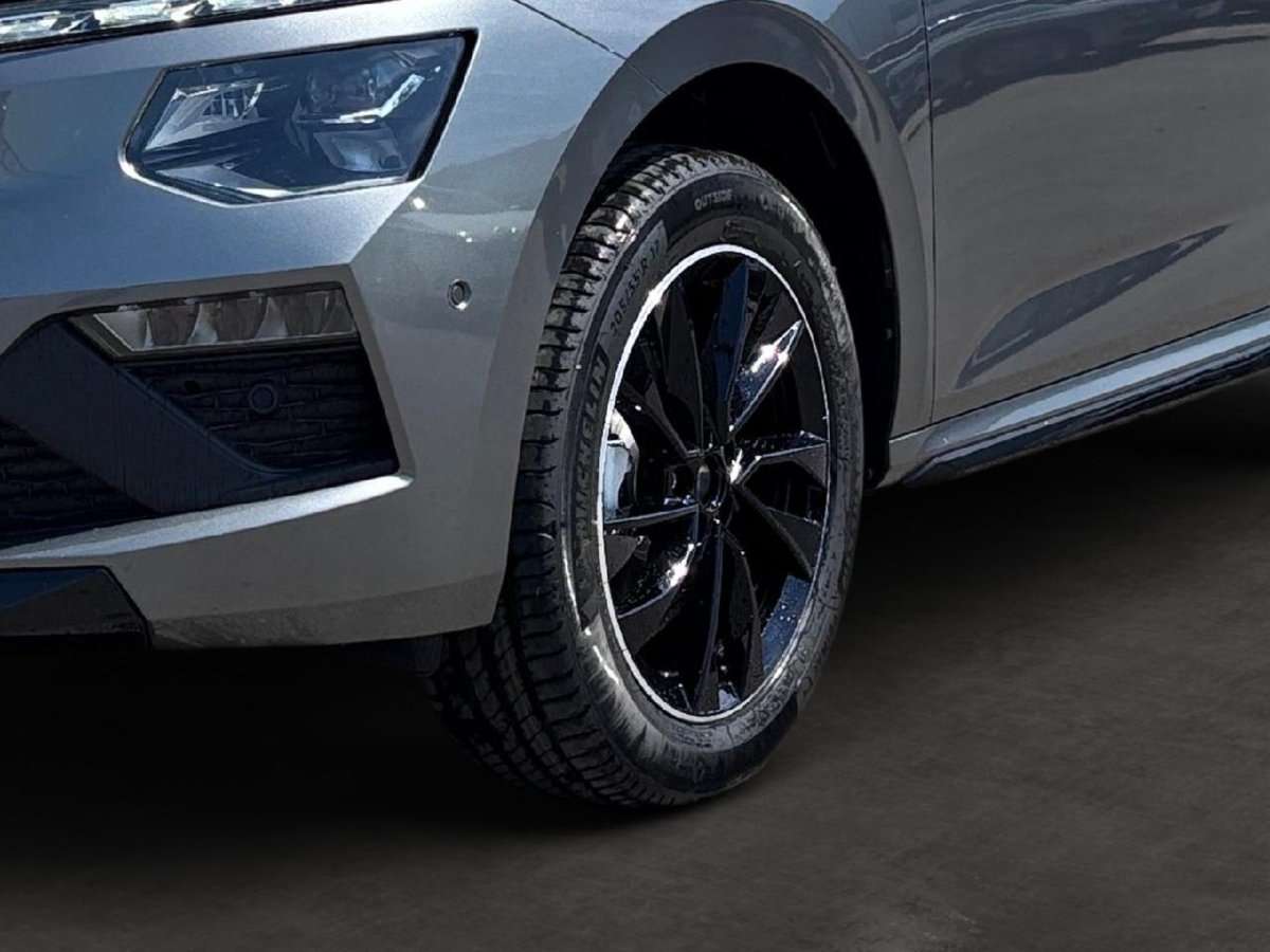 Fahrzeugbild eines Skoda Kamiq