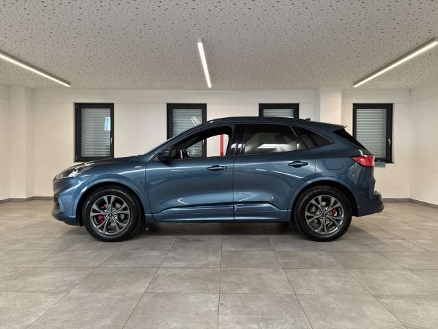 Fahrzeugbild eines Ford Kuga