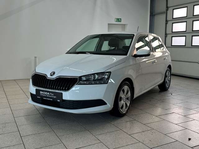 Fahrzeugbild eines Skoda Fabia