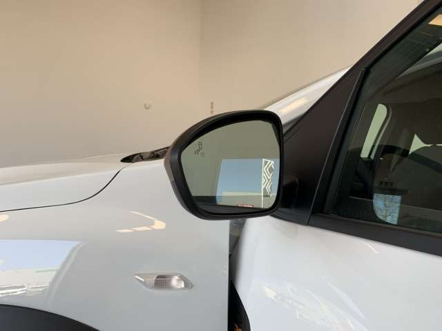 Fahrzeugbild eines Dacia Sandero