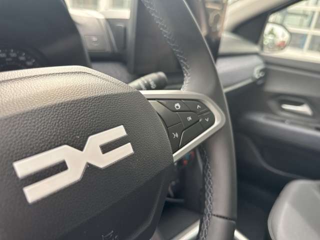 Fahrzeugbild eines Dacia Sandero
