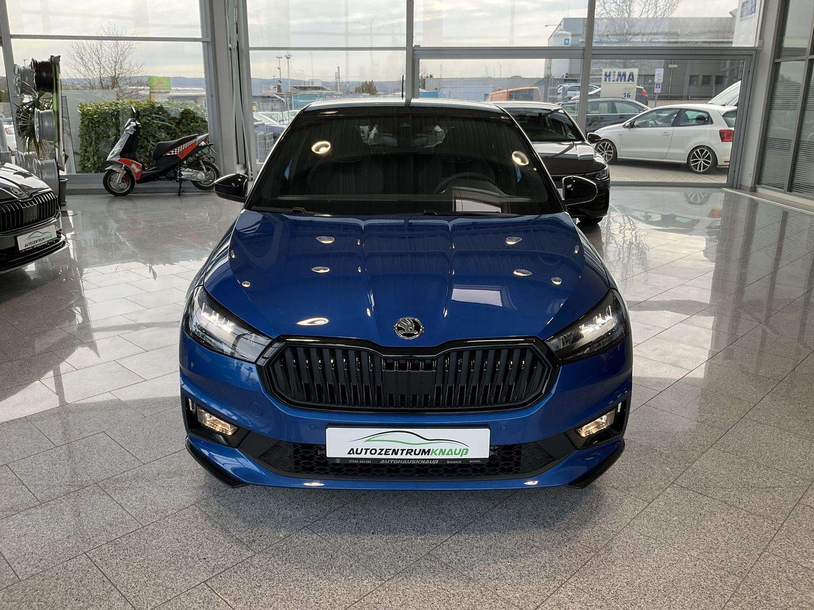 Fahrzeugbild eines Skoda Fabia