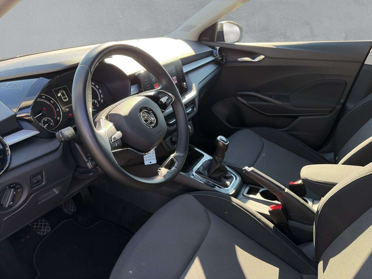 Fahrzeugbild eines Skoda Fabia