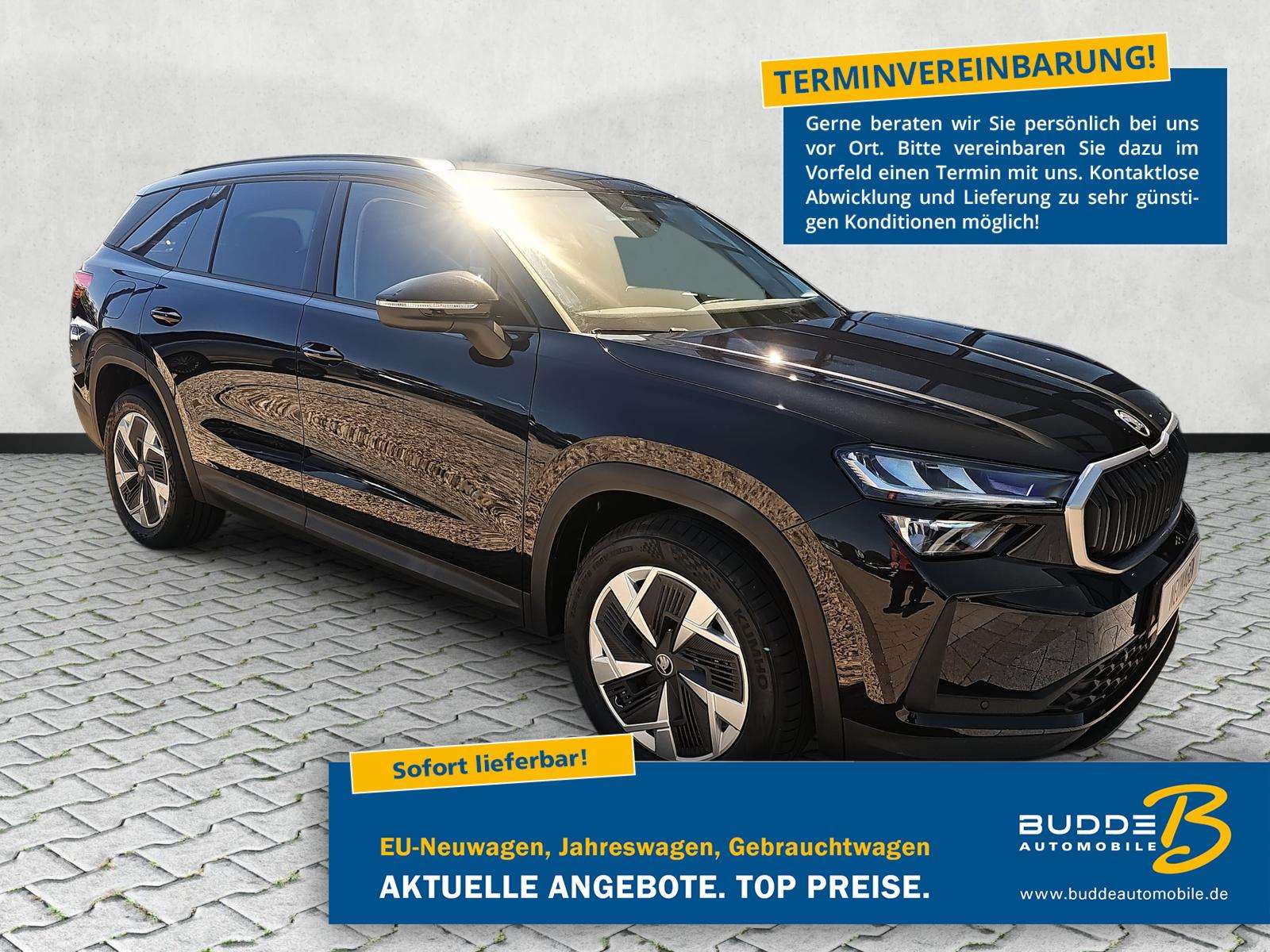 Fahrzeugbild eines Skoda Kodiaq