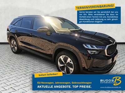 Bild Skoda Kodiaq