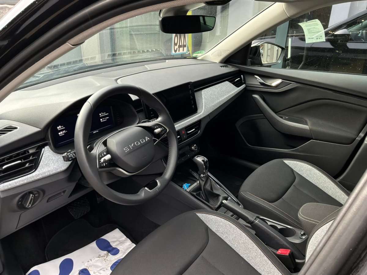 Fahrzeugbild eines Skoda Kamiq