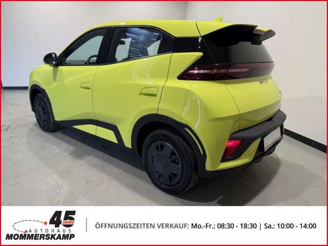 Fahrzeugbild eines BYD DOLPHIN