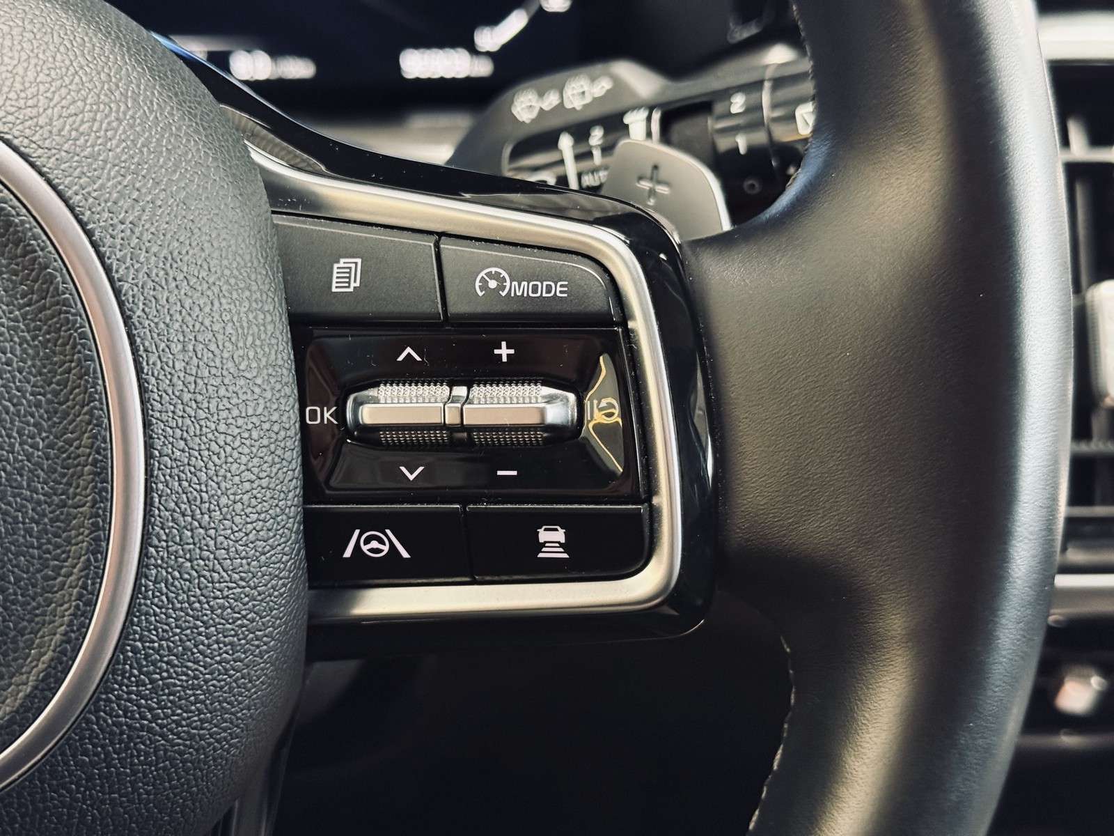 Fahrzeugbild eines Kia Sorento