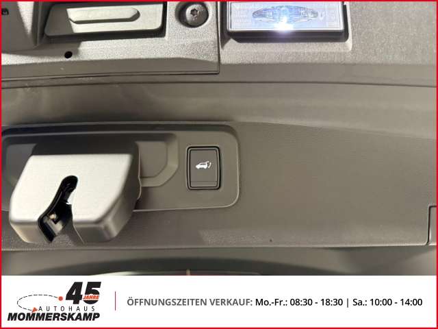 Fahrzeugbild eines Mitsubishi Grandis