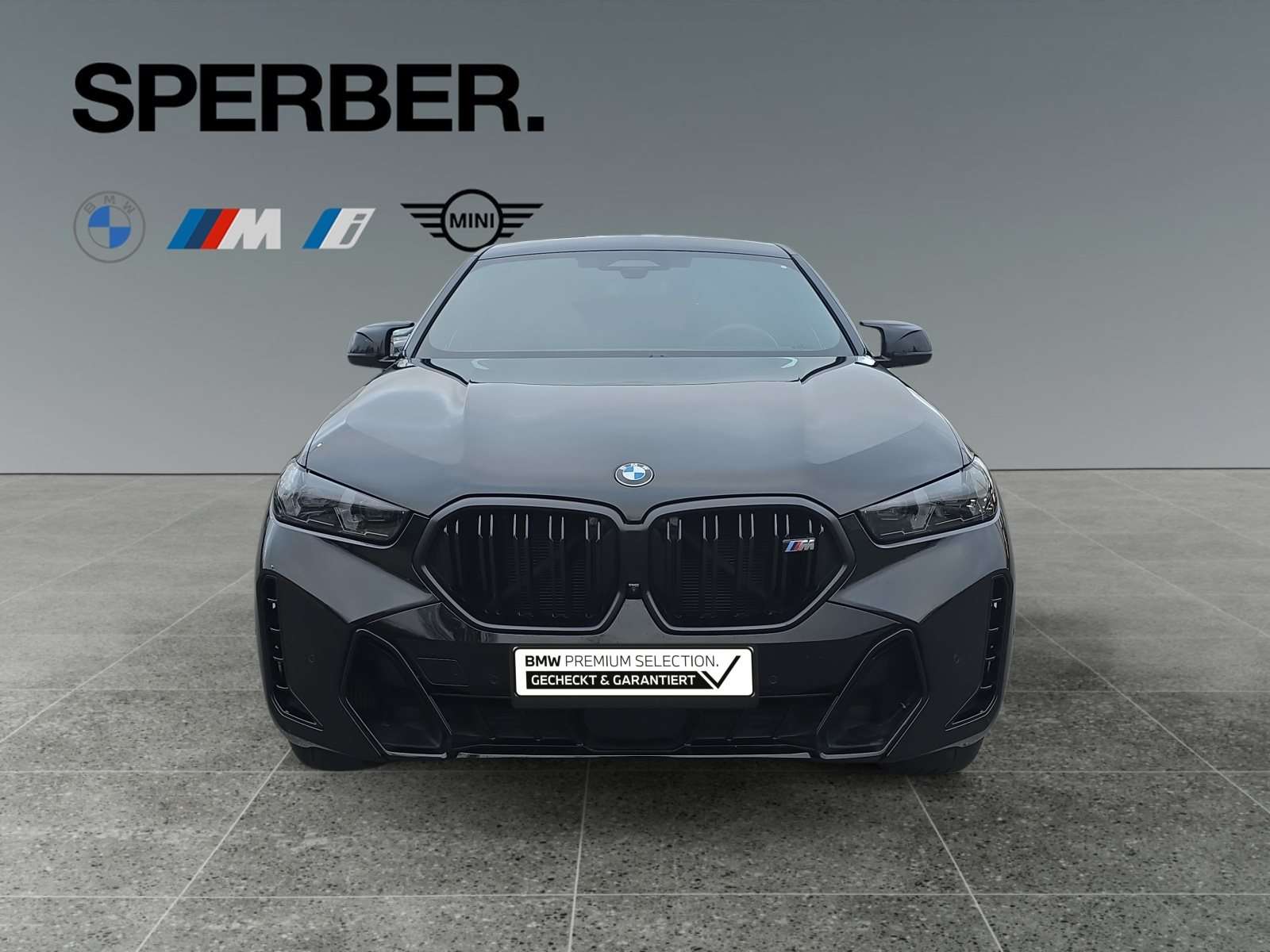 Fahrzeugbild eines BMW X6