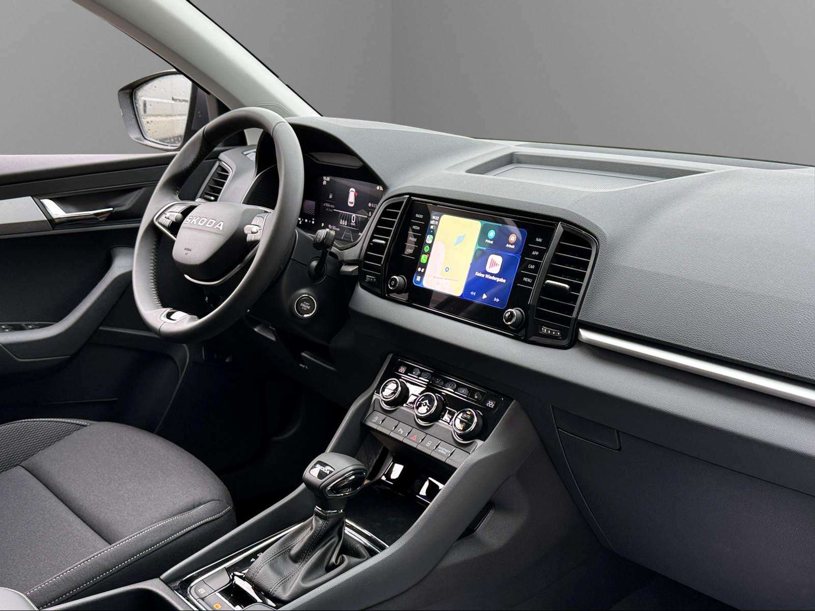 Fahrzeugbild eines Skoda Karoq