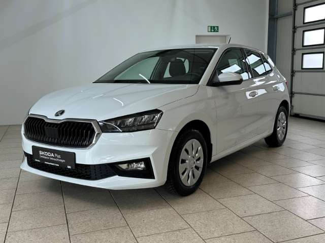 Fahrzeugbild eines Skoda Fabia