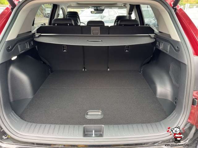 Fahrzeugbild eines Kia Sportage