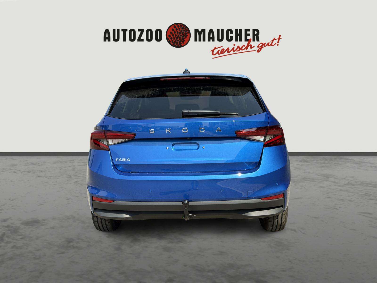 Fahrzeugbild eines Skoda Fabia