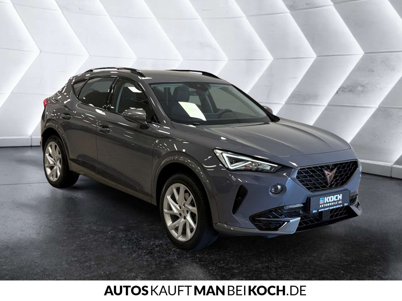 Fahrzeugbild eines CUPRA Formentor