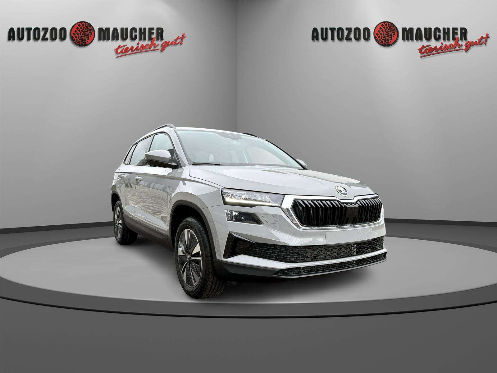 Fahrzeugbild eines Skoda Karoq