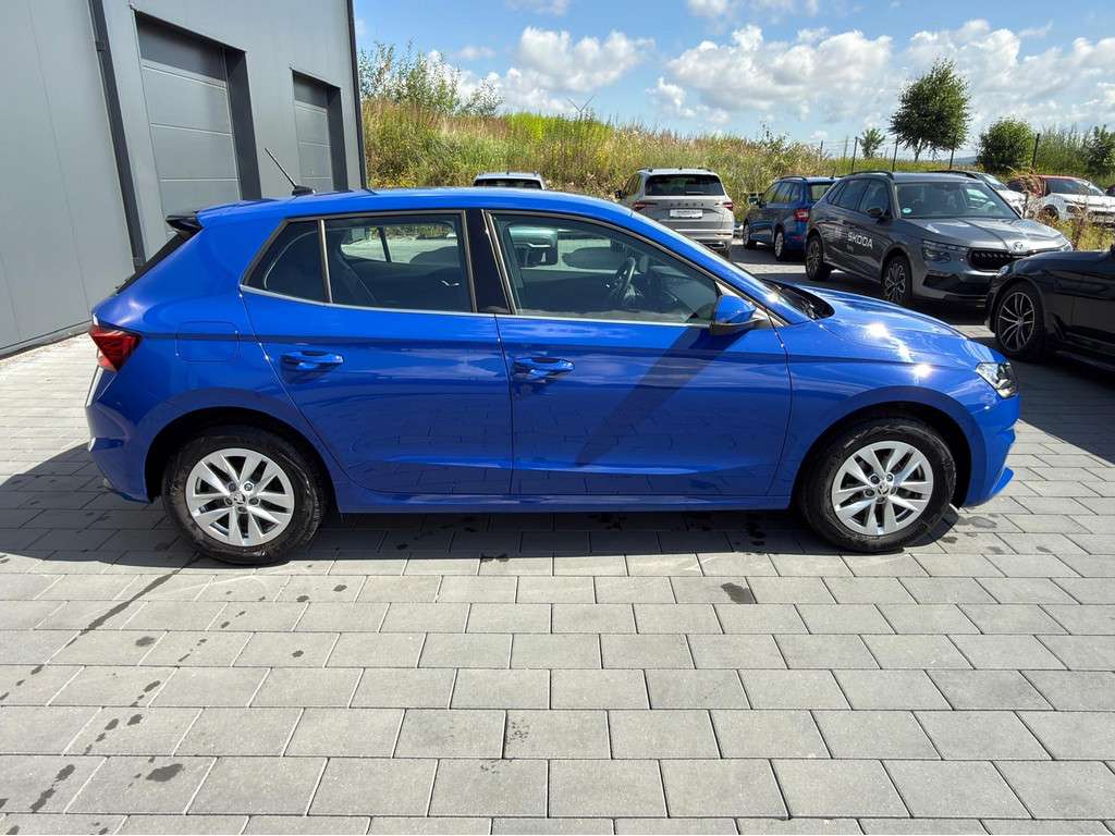 Fahrzeugbild eines Skoda Fabia