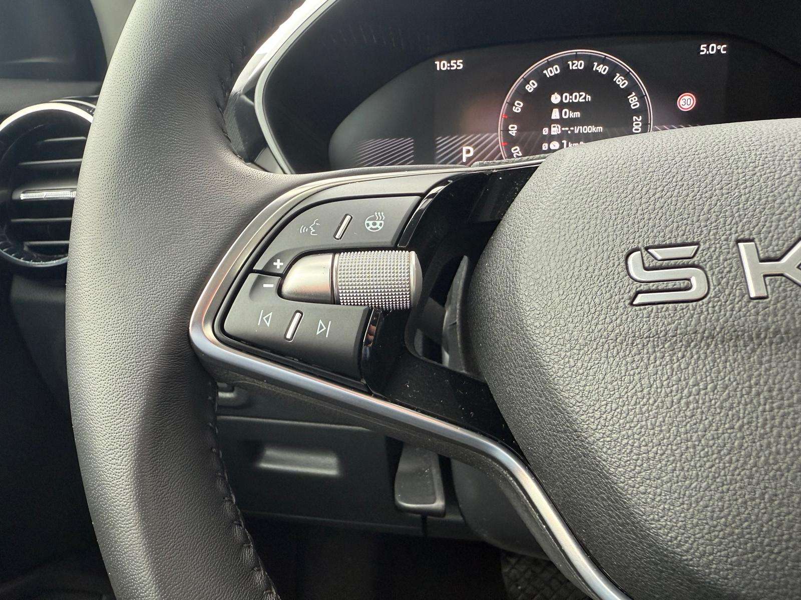 Fahrzeugbild eines Skoda Fabia