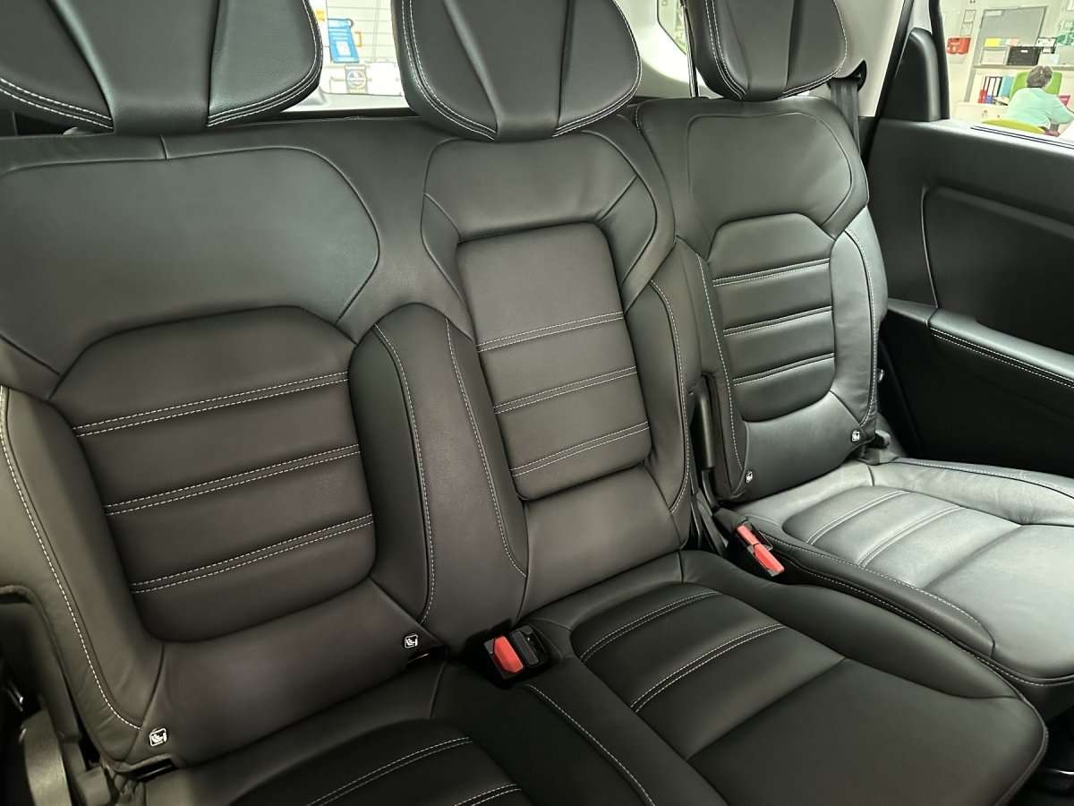 Fahrzeugbild eines Renault Grand Scénic