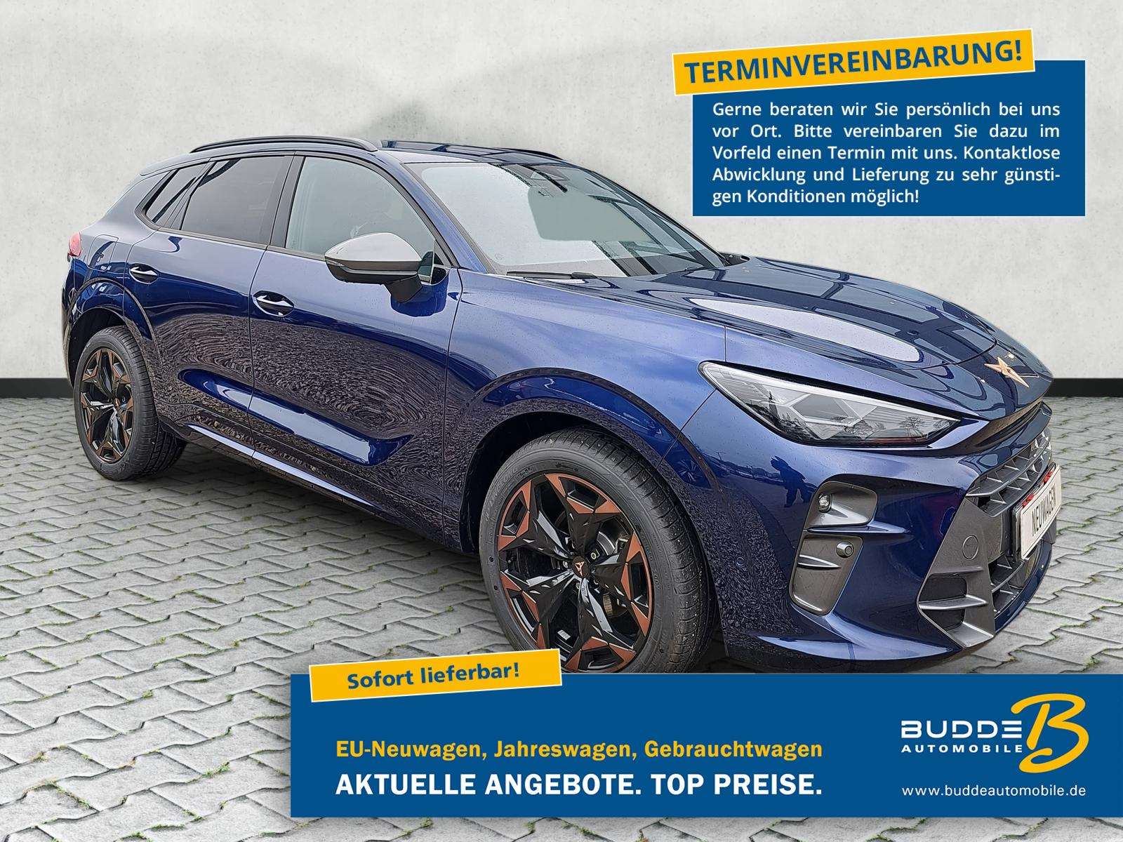 Fahrzeugbild eines CUPRA Terramar