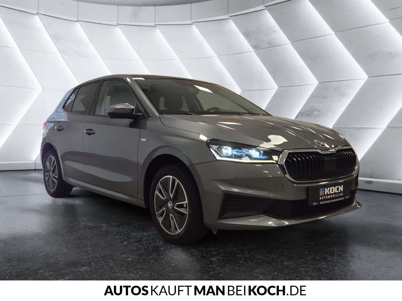 Fahrzeugbild eines Skoda Fabia