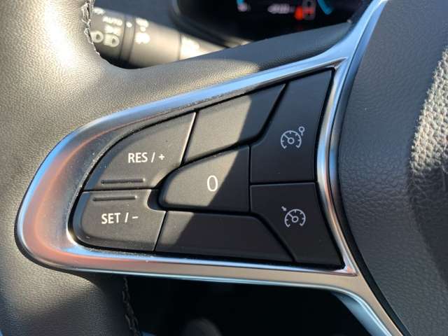 Fahrzeugbild eines Renault ZOE