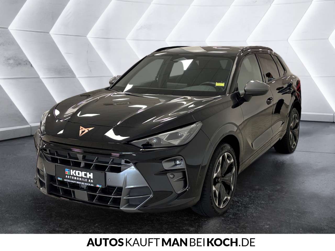 Fahrzeugbild eines CUPRA Terramar