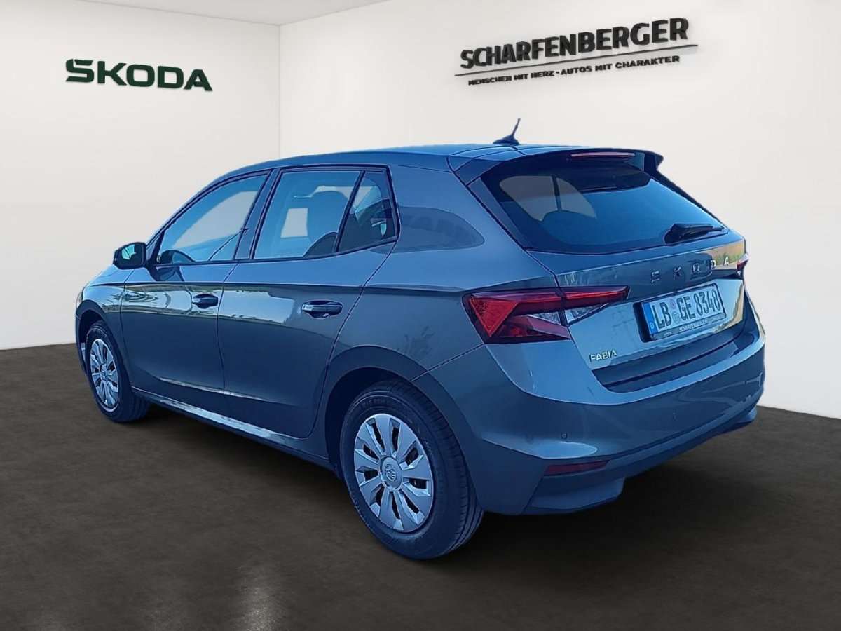 Fahrzeugbild eines Skoda Fabia
