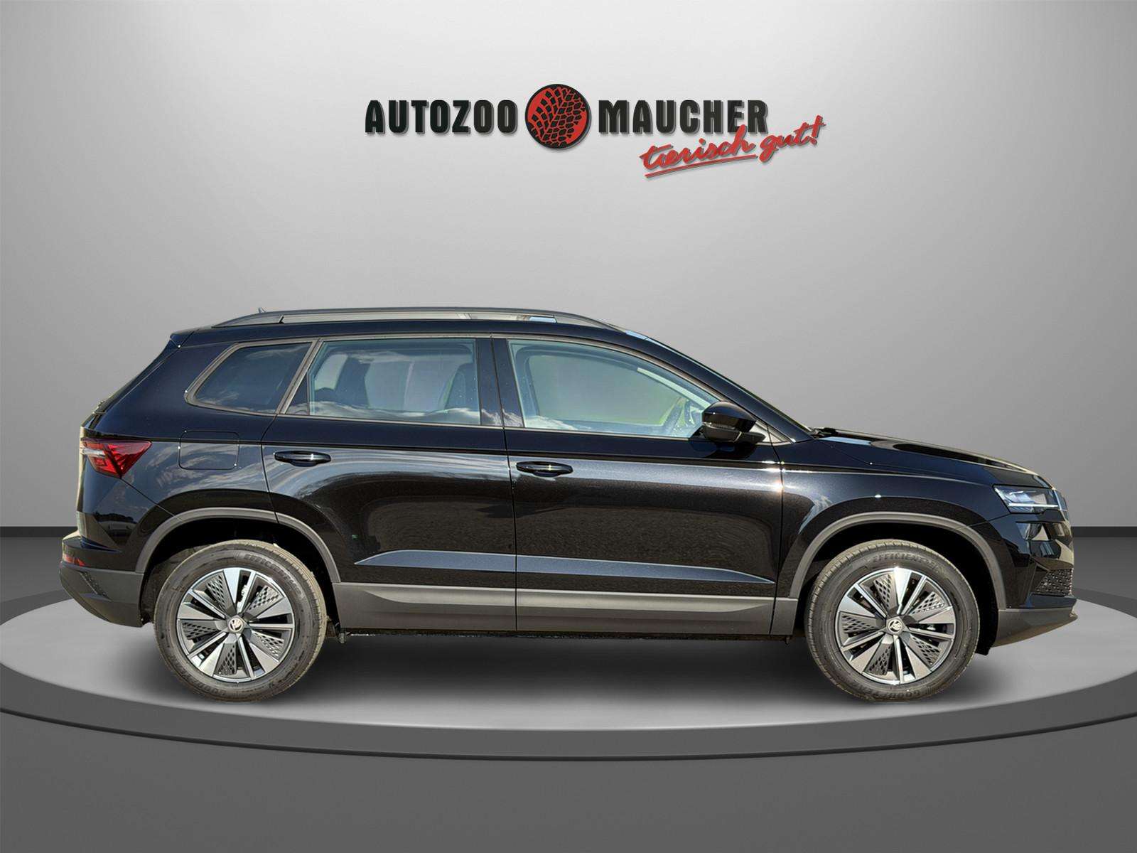 Fahrzeugbild eines Skoda Karoq