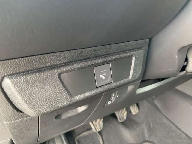 Fahrzeugbild eines Dacia Sandero