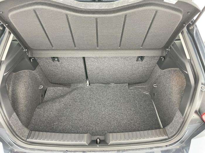 Fahrzeugbild eines SEAT Ibiza