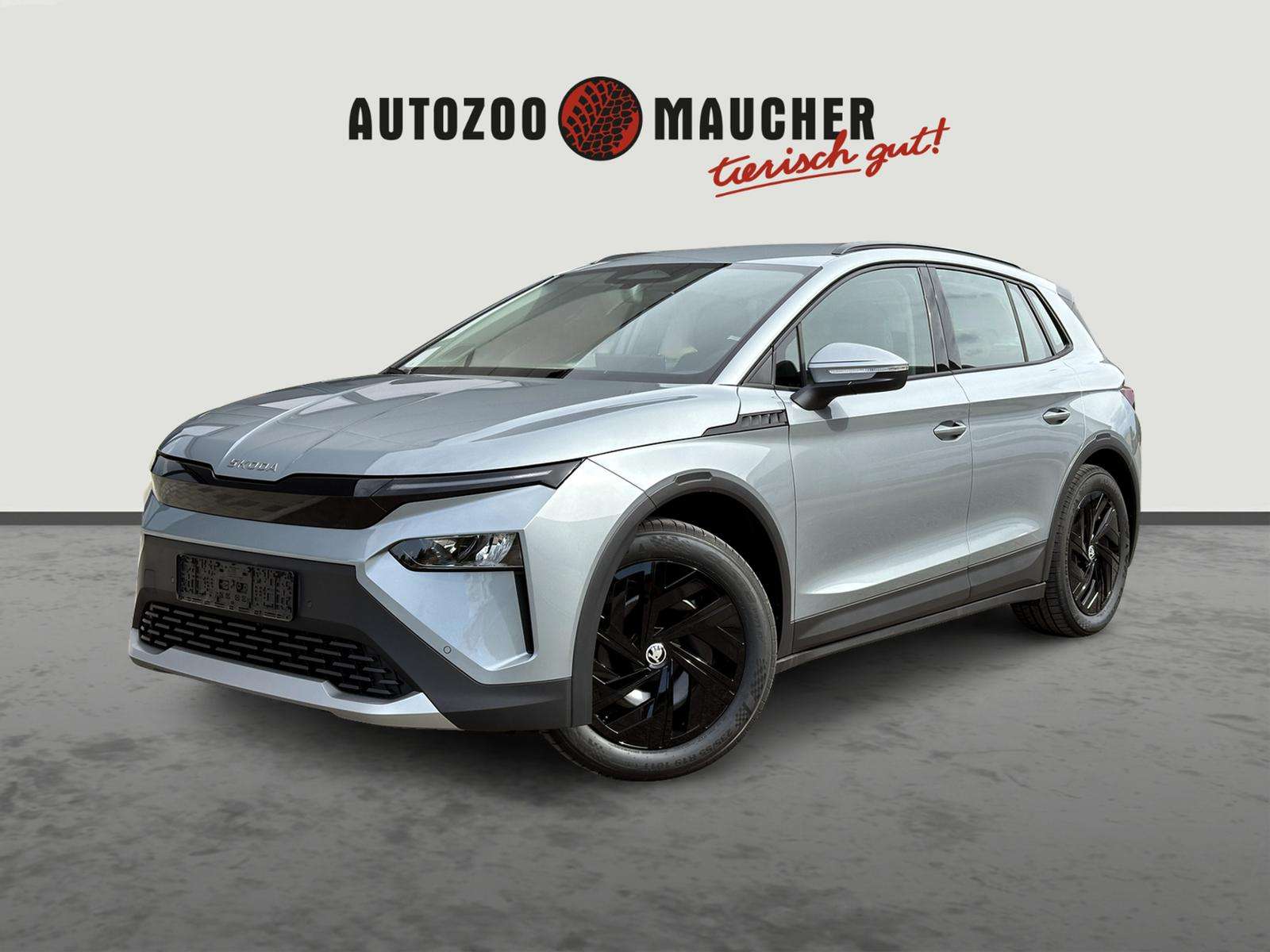 Fahrzeugbild eines Skoda ELROQ