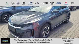 Schräge Frontansicht auf einen Kia XCeed , freigestellt