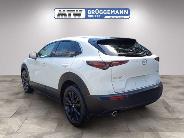 Fahrzeugbild eines Mazda CX-30