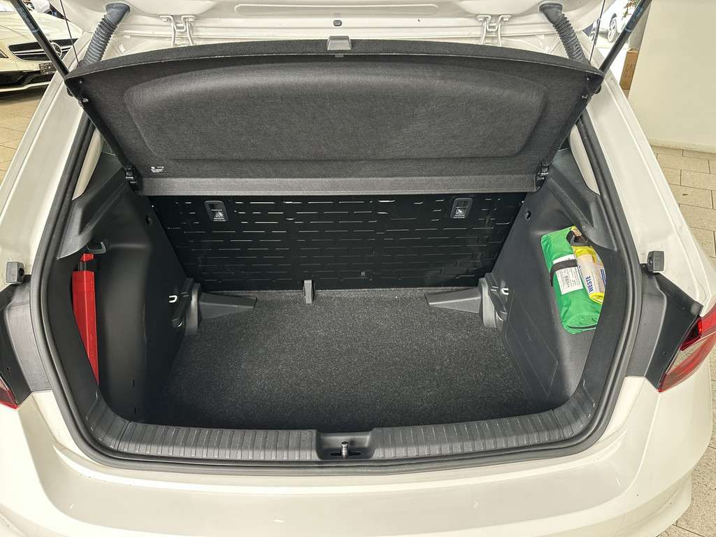 Fahrzeugbild eines Skoda Fabia