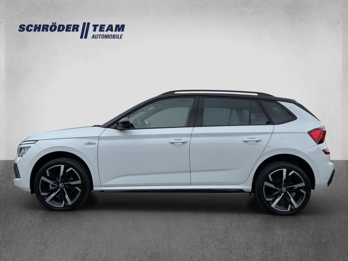 Fahrzeugbild eines Skoda Kamiq